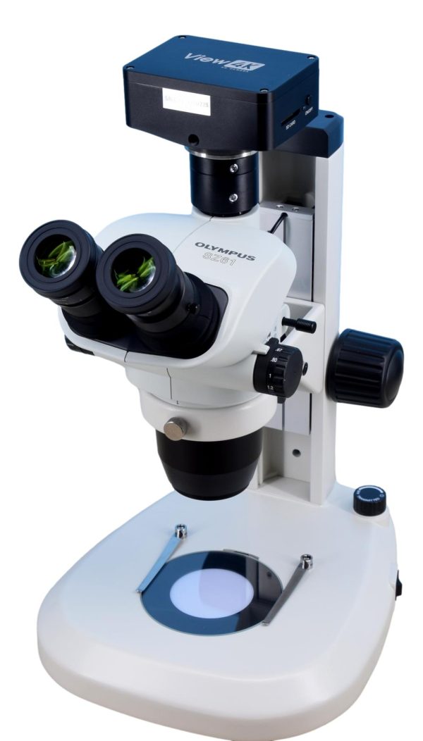 Olympus SZ-61TR 4K Digital Stereo Microscope 6.7x - 45x Hot on Sale