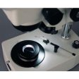 AmScope 10X-60X Jewelry Gem Trinocular Stereo Microscope + Dual Halogen For Cheap