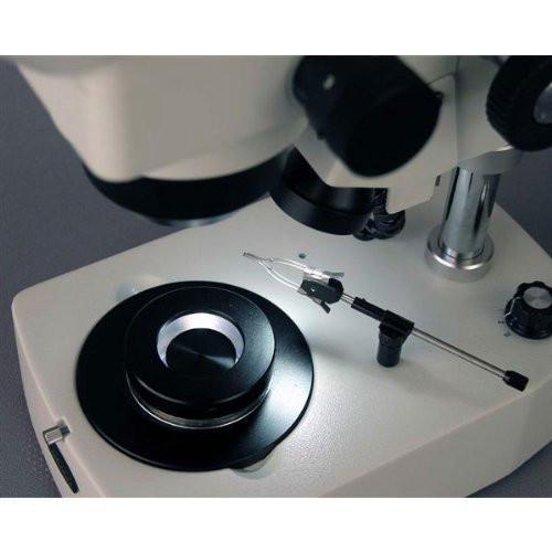 AmScope 10X-60X Jewelry Gem Trinocular Stereo Microscope + Dual Halogen For Cheap