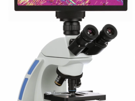 Accu-Scope 3000 Digital Gout Analysis Microscope Fashion