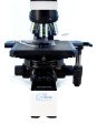 Olympus BX40 Phase Contrast & Darkfield Microscope Online