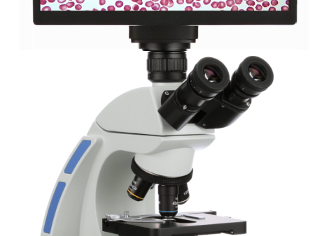 Accu-Scope 3000 Digital Hematology Microscope on Sale