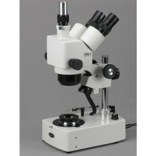 AmScope 10X-60X Jewelry Gem Trinocular Stereo Microscope + Dual Halogen For Cheap