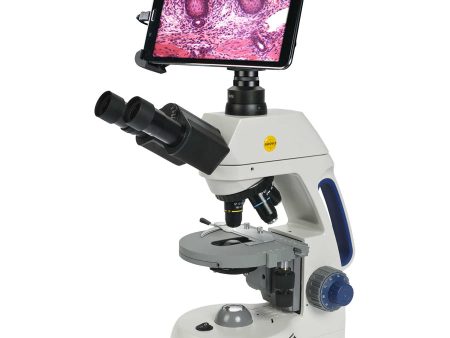 Swift M10T-BTW1-MP Digital Phase Contrast Microscope  w  8  Tablet For Cheap