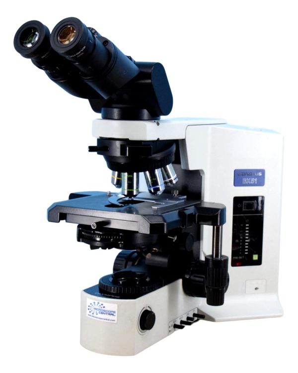 Olympus BX51 Phase Contrast & Darkfield Microscope For Discount