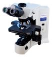 Olympus BX41 Clinical Microscope on Sale