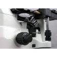 AmScope  40X-1500X Inverted Phase-Contrast + Fluorescence Microscope with 5MP Global-shutter Low-light Camera Online