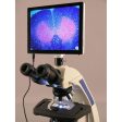 AmScope 40X-2000X Infinity Plan Laboratory Compound Microscope with LCD Touch Pad Screen Hot on Sale