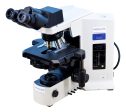 Olympus BX51 Phase Contrast & Darkfield Microscope For Discount