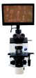 Olympus BX41 Phase Contrast Digital HD Microscope Hot on Sale