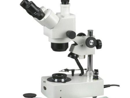 AmScope 10X-60X Jewelry Gem Trinocular Stereo Microscope + Dual Halogen For Cheap