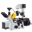 AmScope  40X-1500X Inverted Phase-Contrast + Fluorescence Microscope with 5MP Global-shutter Low-light Camera Online