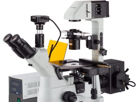 AmScope  40X-1500X Inverted Phase-Contrast + Fluorescence Microscope with 5MP Global-shutter Low-light Camera Online