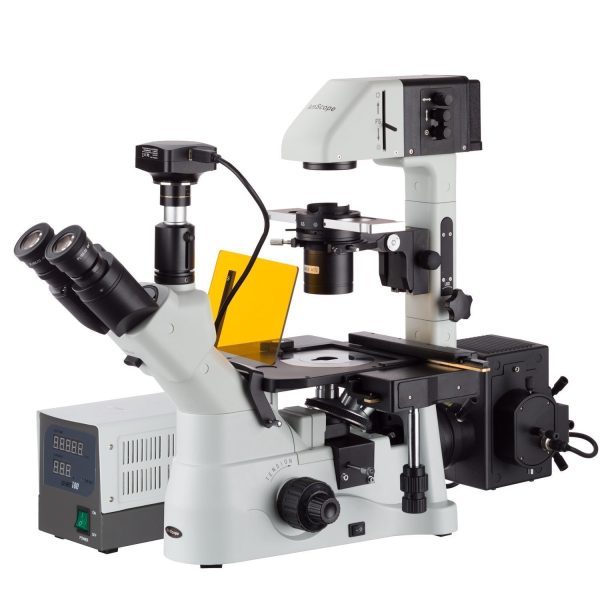 AmScope  40X-1500X Inverted Phase-Contrast + Fluorescence Microscope with 5MP Global-shutter Low-light Camera Online