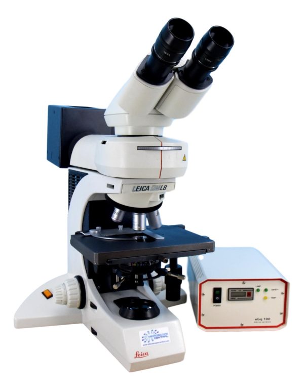 Leica DMLB Fluorescence Microscope Sale