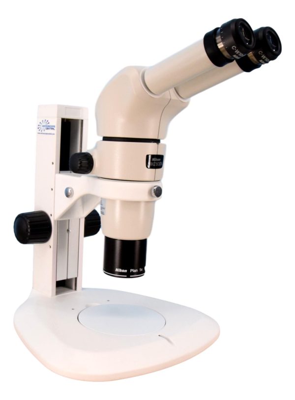 Nikon SMZ800N Stereo Microscope on Sale