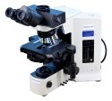 Olympus BX51 Phase Contrast & Darkfield Microscope For Discount