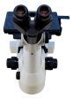 Nikon MA100 Inverted Metallurgical Microscope Online Sale