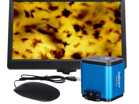 Amscope 3.5X-90X Simul-Focal Articulating Zoom Stereo Microscope with 5MP Digital Camera Hot on Sale