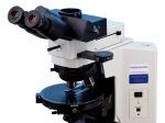 Olympus BX41-P Polarizing Light Microscope For Sale