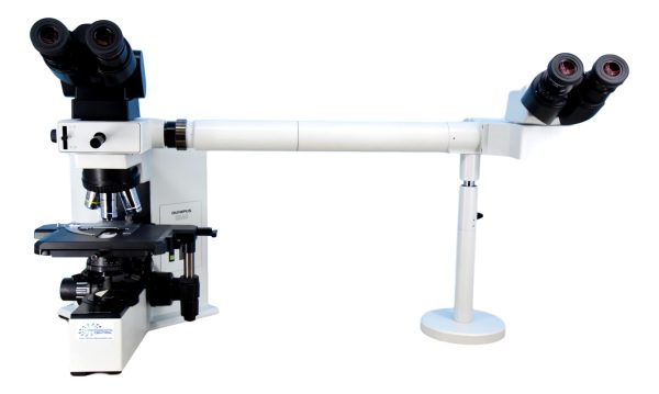 Olympus BX40 Dual Viewing Microscope - Side-By-Side Supply