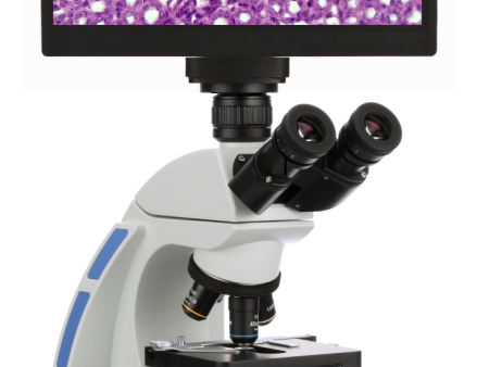 Accu-Scope 3000-LED 4K Digital Microscope - HDMI, WiFi, USB For Sale