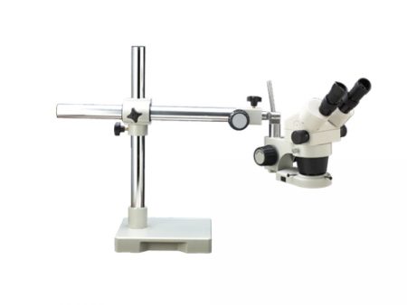 LX 250-FL Stereo Microscope Online