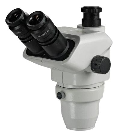 Accu-Scope 3075   3076 Viewing Heads For Sale