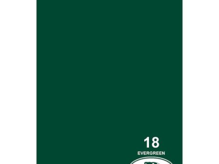 Savage #18 Seamless Background Paper (107  x 36 ) - Evergreen Cheap