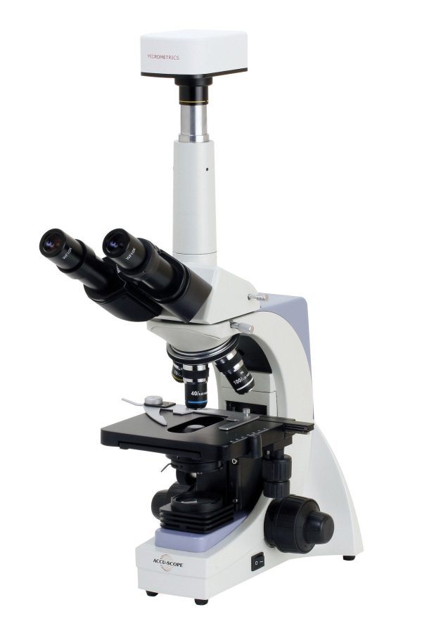 Accu-Scope 3002 Microscope Series For Sale