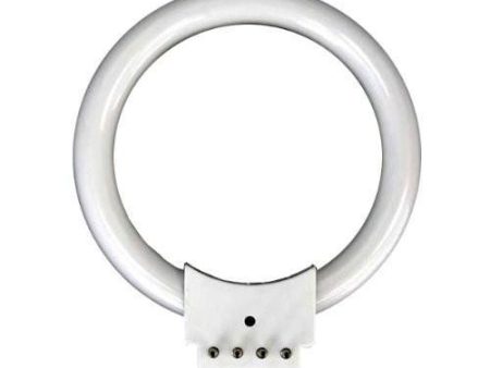 Accu-Scope 8W Fluorescent Ring Illuminatior Bulb 3373 Online now